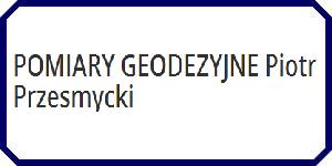 POMIARY GEODEZYJNE Piotr Przesmycki